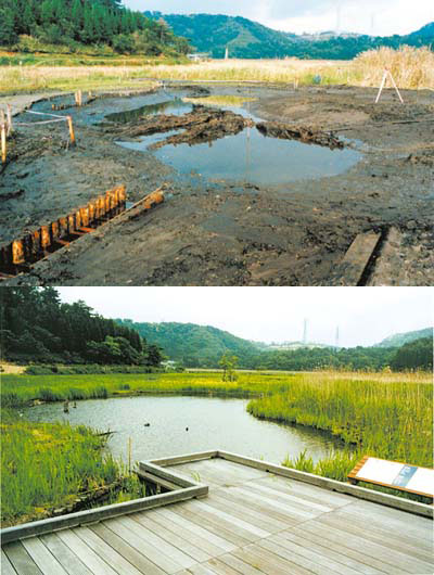 大阪ガス敦賀基地環境保全エリア調査・計画・設計・監理業務の写真